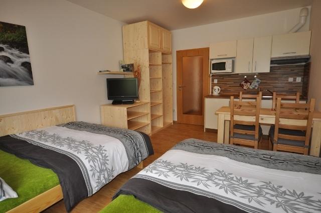 Studio Apartments Lipno 22, 24 Lipno nad Vltavou Quarto foto